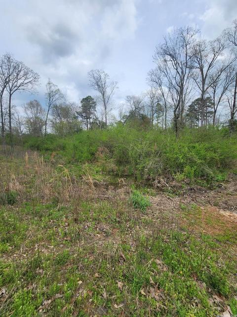 2722 Highway 88 E, Mena, AR 71953 photo 47