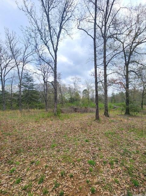 2722 Highway 88 E, Mena, AR 71953 photo 45