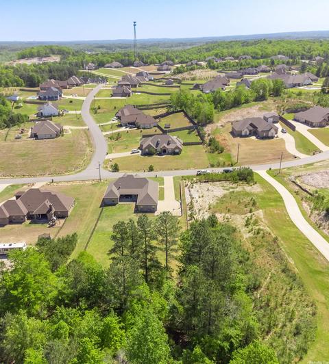 6041 Lodestone Dr, Alexander, AR 72002 photo 44