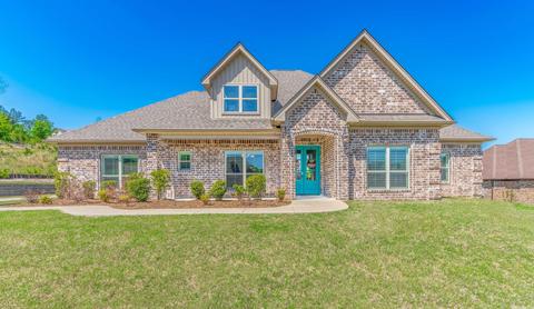 6041 Lodestone Dr, Alexander, AR 72002 photo 1