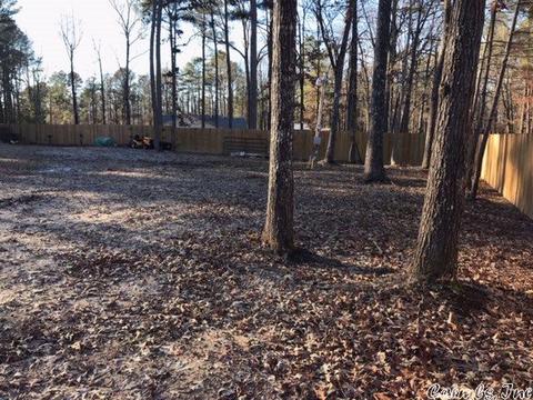 1702 Triple E Rd, White Hall, AR 71602 photo 3