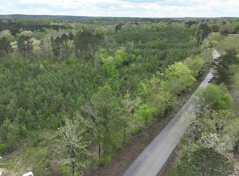 tbd Caney Rd, Bismarck, AR 71929 photo 1