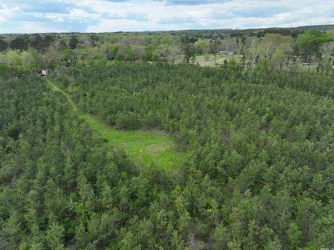 tbd Caney Rd, Bismarck, AR 71929 photo 3