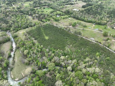 tbd Caney Rd, Bismarck, AR 71929 photo 5