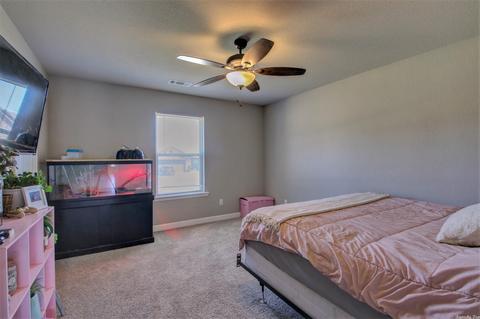 21 Ruger Dr, Austin, AR 72007 photo 23