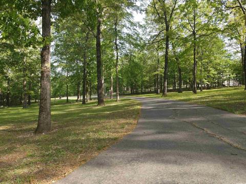 300 W Crestside, Alexander, AR 72002 photo 45