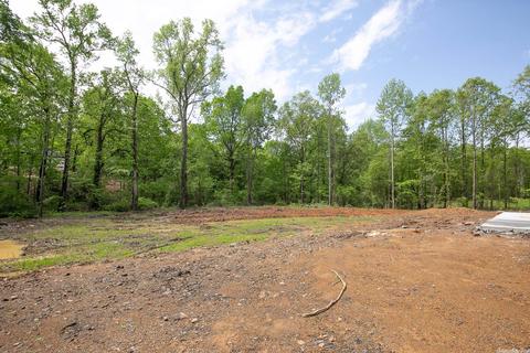 166 Mountain Ranch Blvd, Austin, AR 72007 photo 50