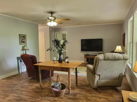 395 Golden Rd, Mount Ida, AR 71957 photo 5