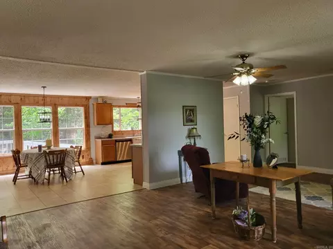 395 Golden Rd, Mount Ida, AR 71957 photo 4