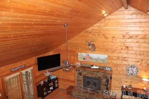 280 N River View Ln, Mountain View, AR 72560 photo 41