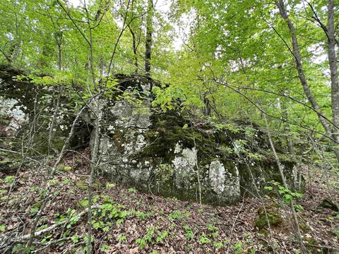5587 Trace Ridge Rd, Leslie, AR 72645 photo 3
