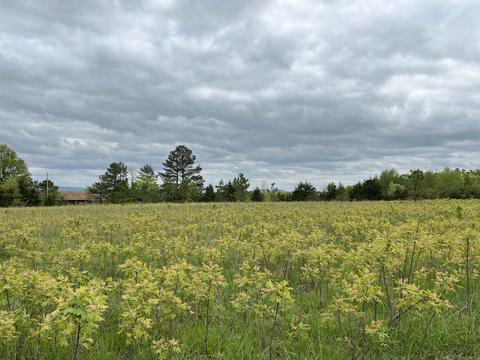 5587 Trace Ridge Rd, Leslie, AR 72645 photo 40