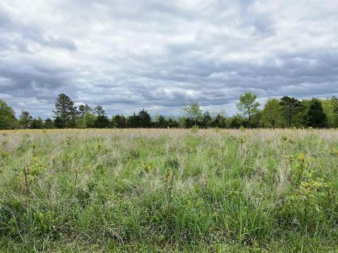 5587 Trace Ridge Rd, Leslie, AR 72645 photo 19