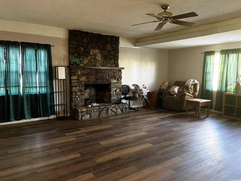 3940 Hwy 167, Ash Flat, AR 72513 photo 5