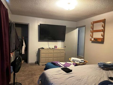 3940 Hwy 167, Ash Flat, AR 72513 photo 16