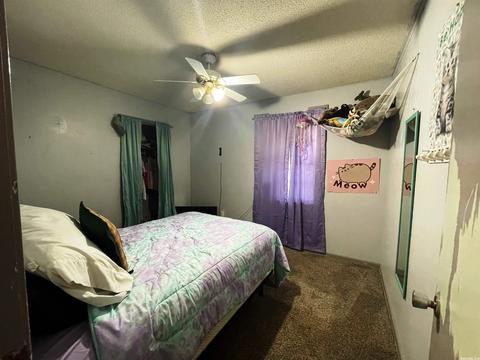 3940 Hwy 167, Ash Flat, AR 72513 photo 18