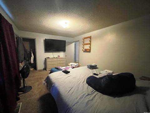 3940 Hwy 167, Ash Flat, AR 72513 photo 17