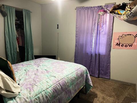 3940 Hwy 167, Ash Flat, AR 72513 photo 20