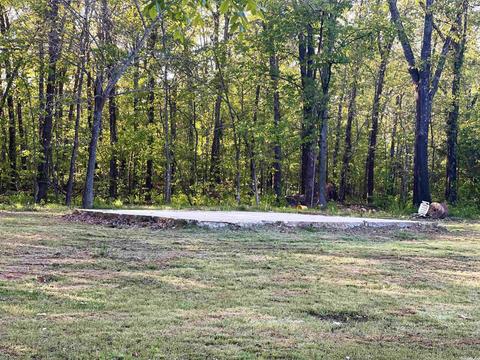 3940 Hwy 167, Ash Flat, AR 72513 photo 34