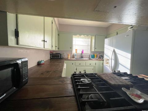 3940 Hwy 167, Ash Flat, AR 72513 photo 12