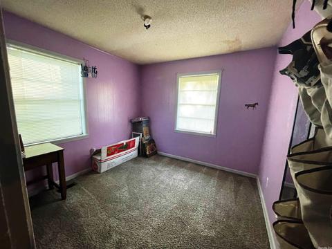 3940 Hwy 167, Ash Flat, AR 72513 photo 22