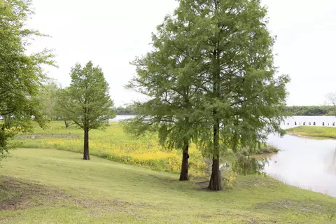 9002 Trulock Bay, Sherrill, AR 72152 photo 2