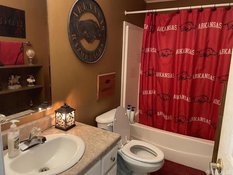 16 Mountain Air Dr, Conway, AR 72032 photo 15