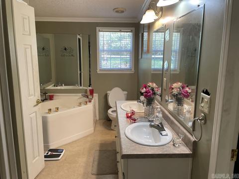 16 Mountain Air Dr, Conway, AR 72032 photo 10