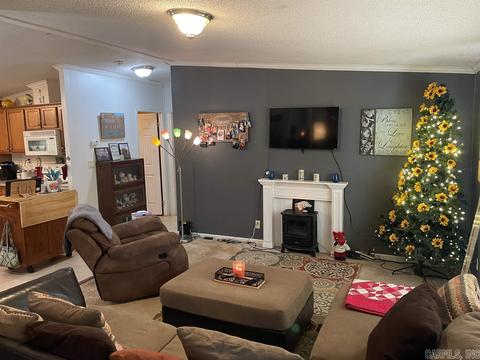 16 Mountain Air Dr, Conway, AR 72032 photo 5
