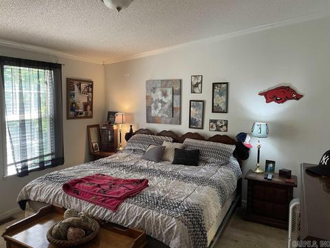 16 Mountain Air Dr, Conway, AR 72032 photo 8