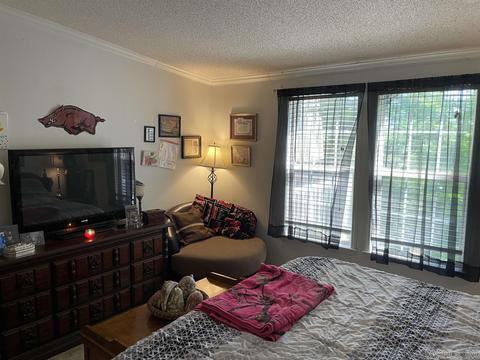 16 Mountain Air Dr, Conway, AR 72032 photo 9
