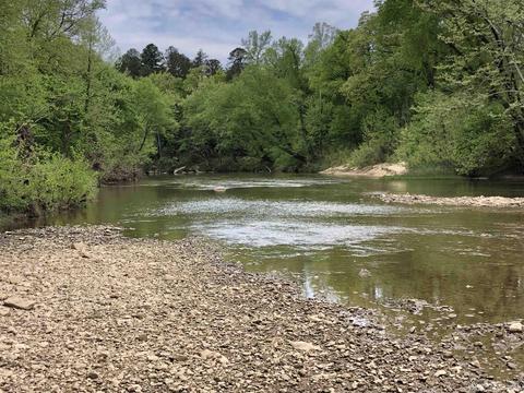 185 Virgies Loop, Melbourne, AR 72556 photo 16