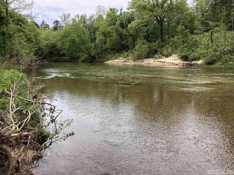 185 Virgies Loop, Melbourne, AR 72556 photo 12