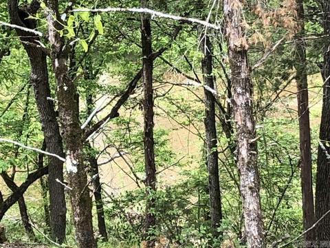 185 Virgies Loop, Melbourne, AR 72556 photo 19
