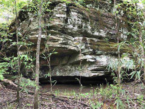 185 Virgies Loop, Melbourne, AR 72556 photo 14