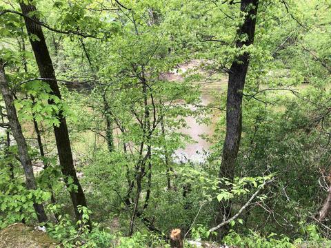185 Virgies Loop, Melbourne, AR 72556 photo 11