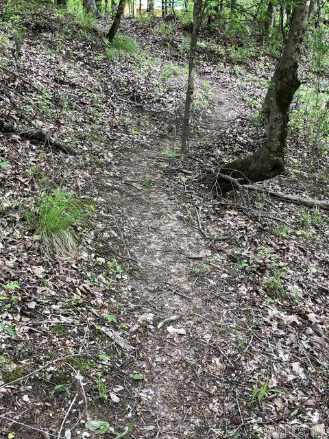 185 Virgies Loop, Melbourne, AR 72556 photo 17