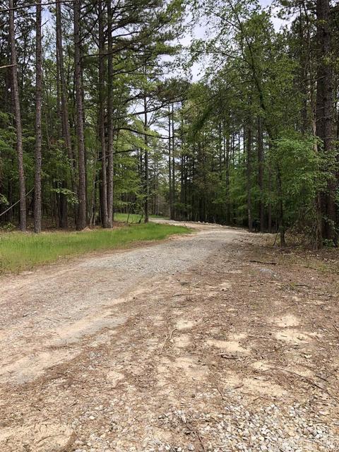 185 Virgies Loop, Melbourne, AR 72556 photo 46