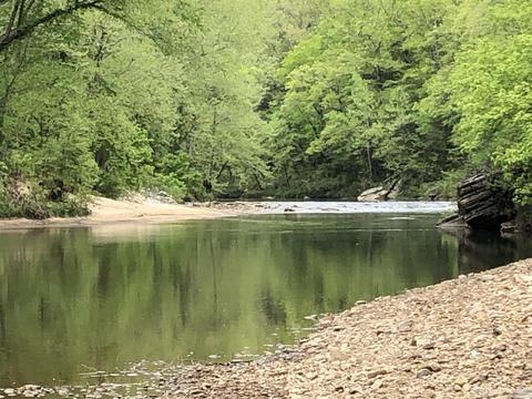 185 Virgies Loop, Melbourne, AR 72556 photo 15