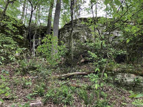 185 Virgies Loop, Melbourne, AR 72556 photo 13