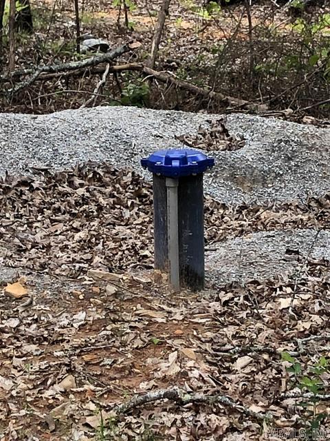 185 Virgies Loop, Melbourne, AR 72556 photo 9