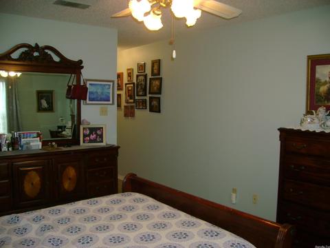 24 Dark Forest Pl, Benton, AR 72019 photo 12
