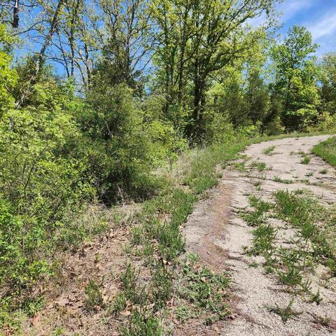 L-9 B-2 Minnetree Circle, Cherokee Village, AR 72529