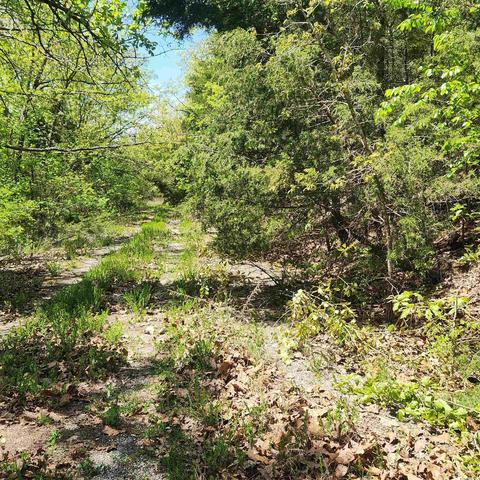 L-64 B-1 Kayenta Circle, Cherokee Village, AR 72529