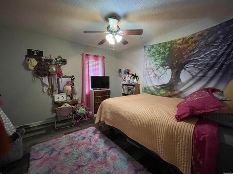 817 Mildred Ext Ave, Trumann, AR 72472 photo 19