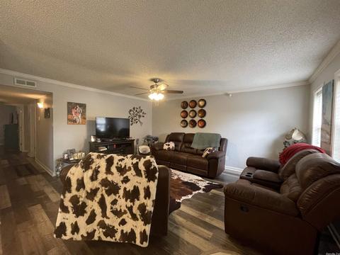 817 Mildred Ext Ave, Trumann, AR 72472 photo 6