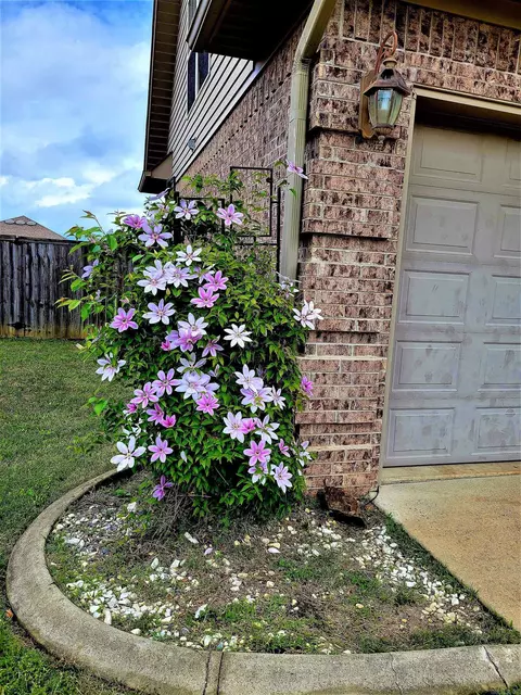 32 Earnhardt Cir, Cabot, AR 72023 photo 2