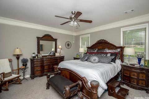 2520 Joyce Cir, Alexander, AR 72002 photo 19