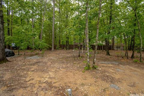 2520 Joyce Cir, Alexander, AR 72002 photo 37
