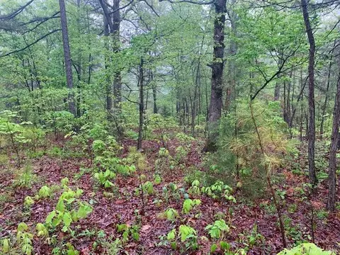740 Fox Hollow Rd, Fox, AR 72051 photo 17